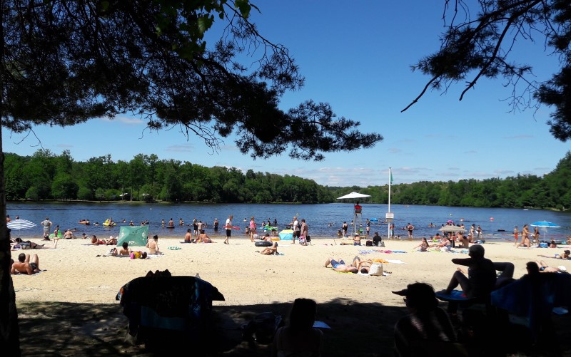 https://cdt40.media.tourinsoft.eu/upload/Grand-etang-St-Estephe.jpg